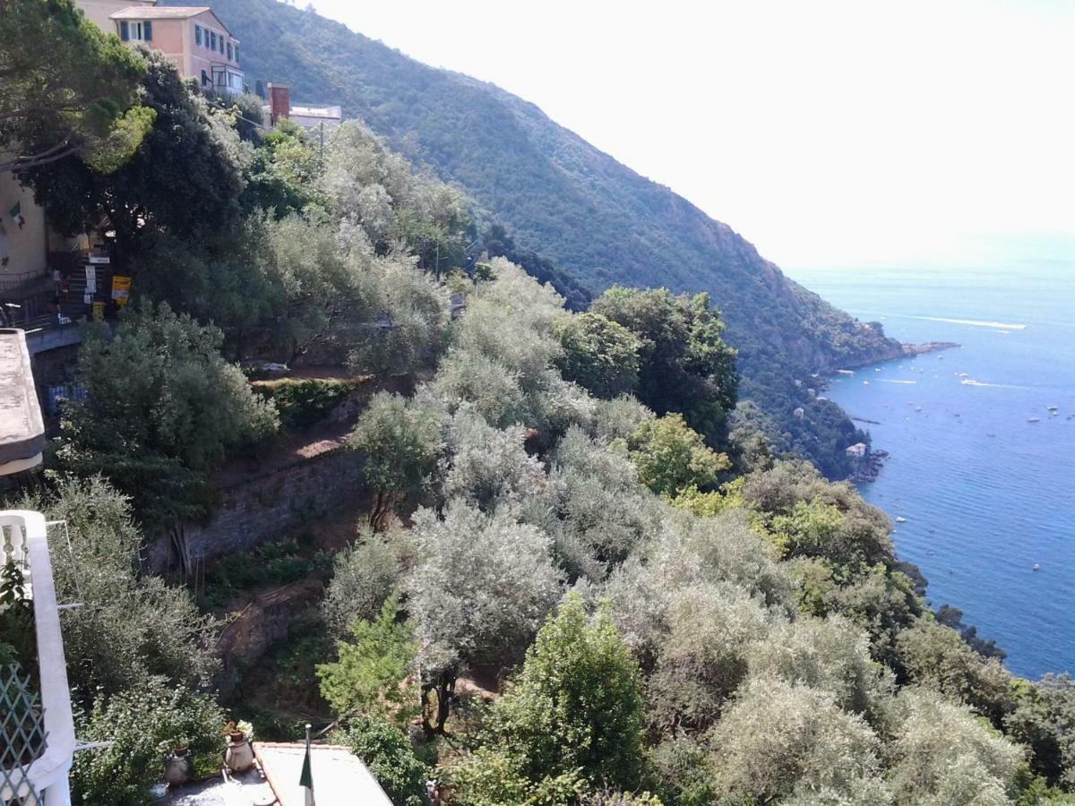 Casa Costanza Apartment Camogli Exterior photo